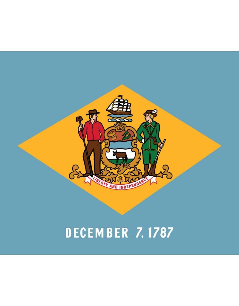 Delaware Nylon Flag