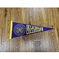 DLS Pennant Banner