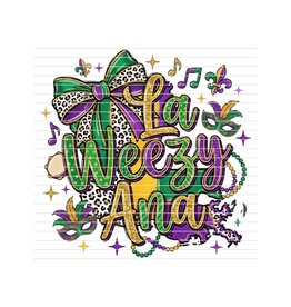 DTF Print-320* 12secs Cold Peel- La Weezy Ana Mardi (Adult)