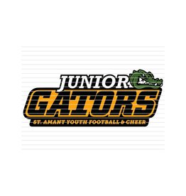 DTF Print-320* 12secs Cold Peel- Junior Gators (11")