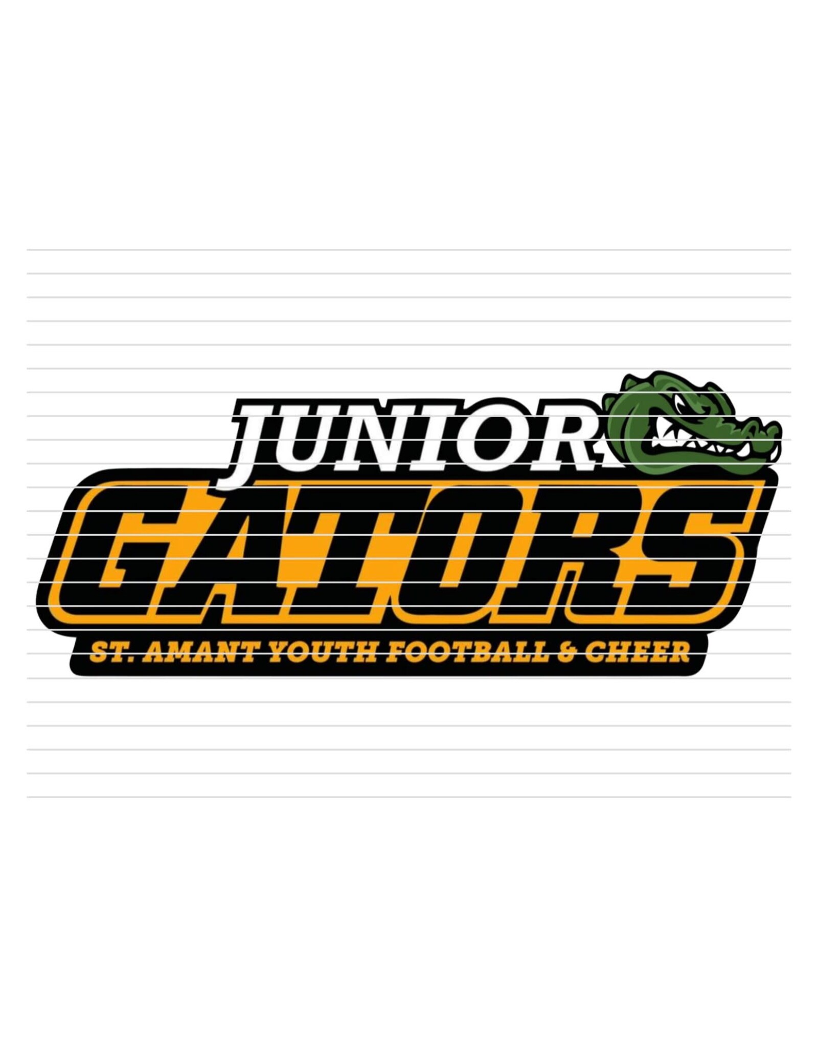 DTF Print-320* 12secs Cold Peel- Junior Gators Youth (9")