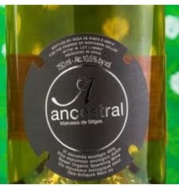 Vega de Ribes Ancestral Malvasia