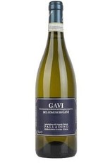 Palladino Gavi