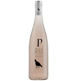 Pique Poul Rose