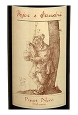 Pojer e Sandri Pinot Nero