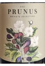 Gota Prunus Tinto