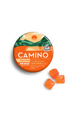 Camino Hemp Gummies Orange
