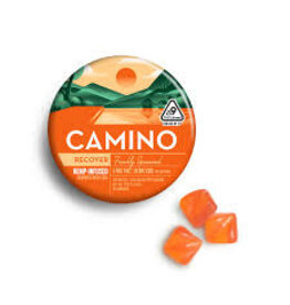 Camino Hemp Gummies Orange