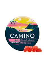 Camino Bliss Watermelon Lemonade