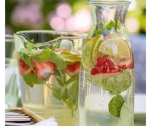 Recipe: Tropical Shrub Olive R Twist Olive Oil Co