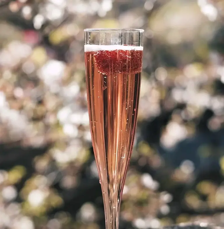 Elderflower Champagne Cocktail Recipe