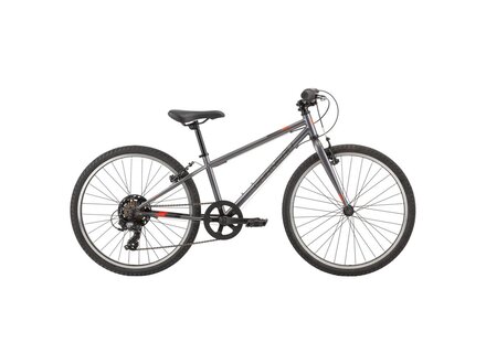Vélo GARNEAU Rapido 242 Argent Vélo GARNEAU Rapido 242 Argent