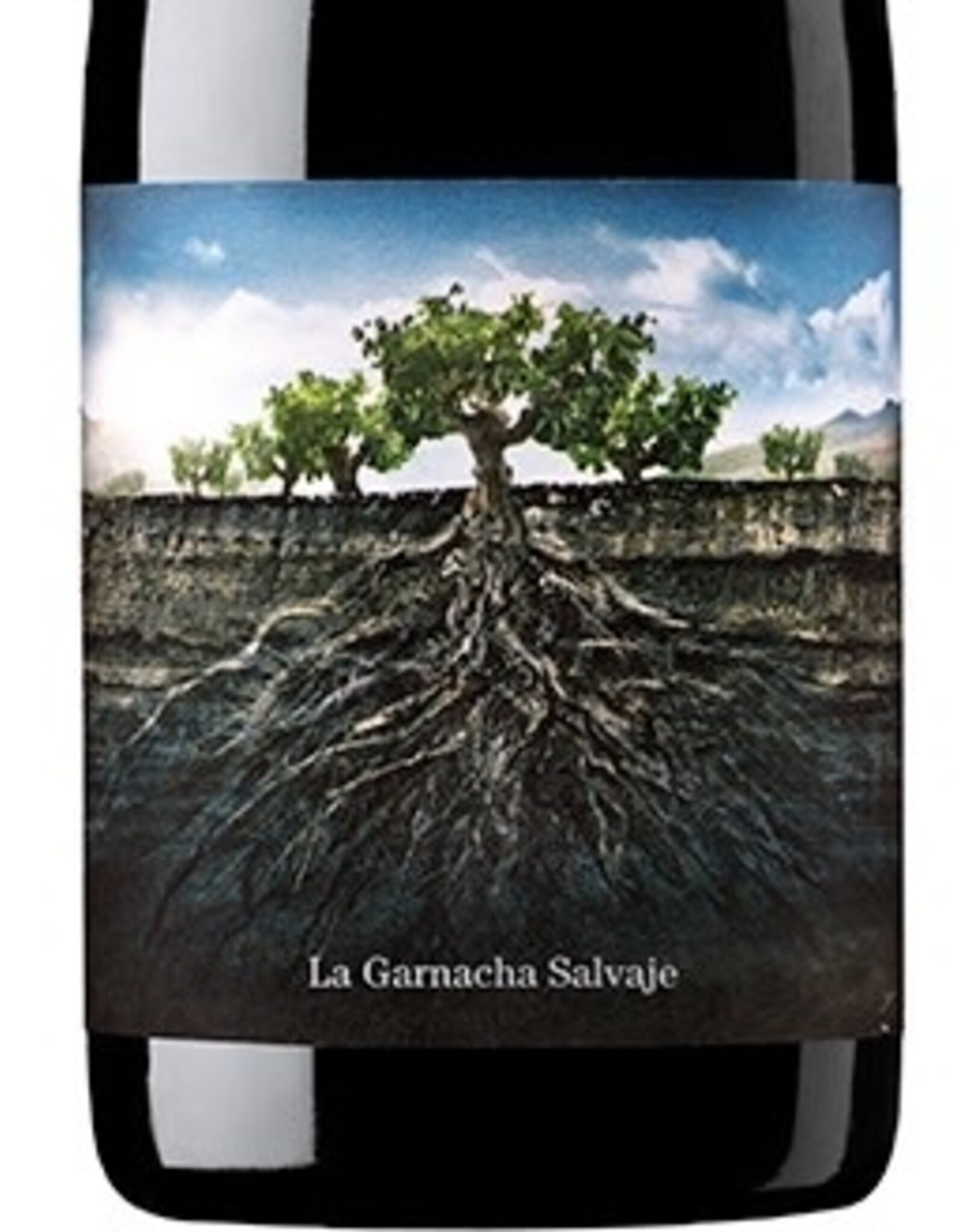 Proyecto Garnachas de España Salvaje La Garnacha del Moncayo