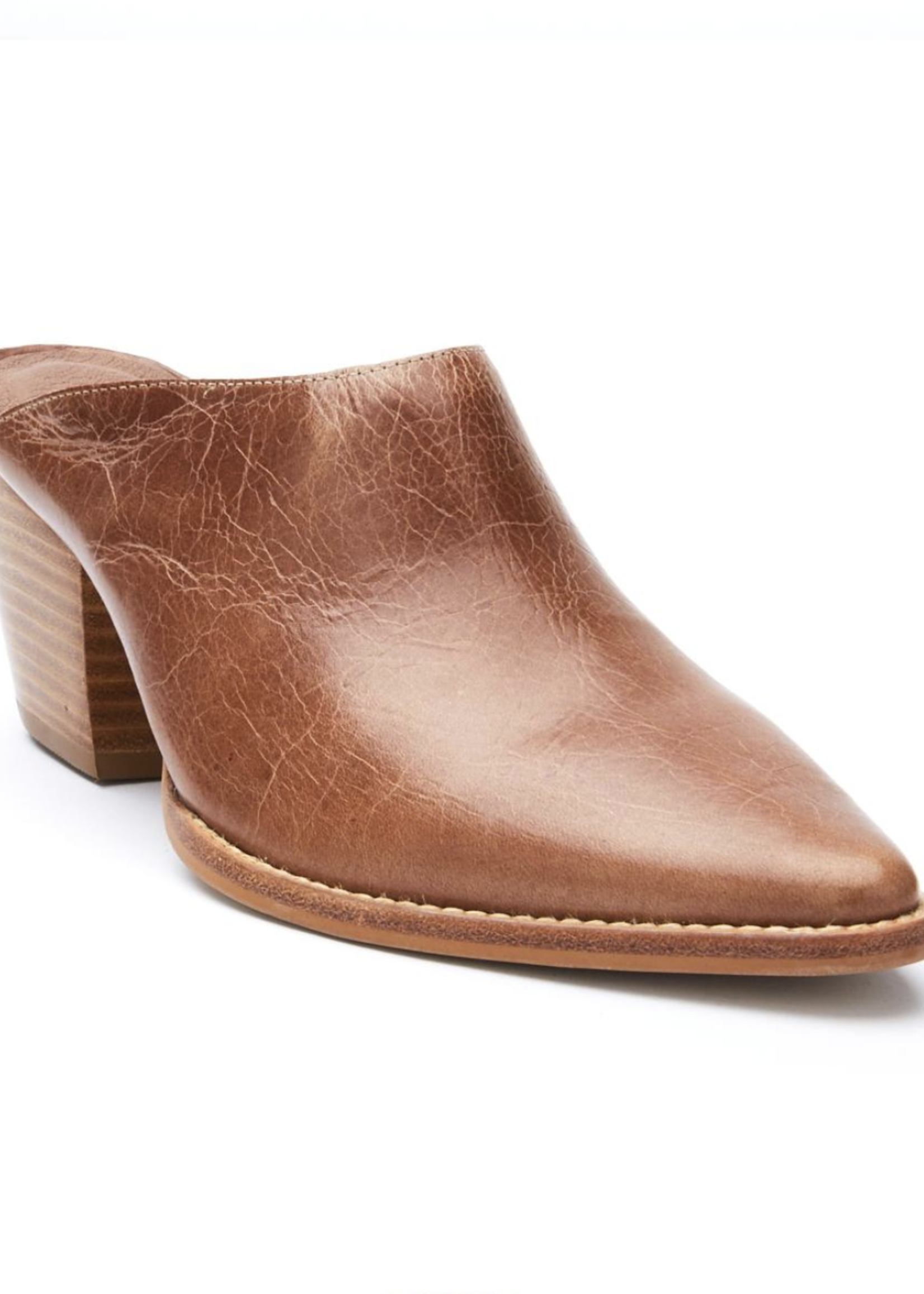 Matisse Cammy Pointed Toe Mule
