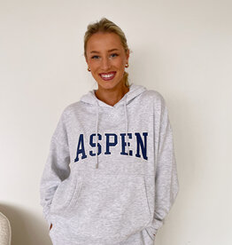 Z Supply Oversized Aspen Hoodie