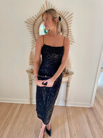 Z Supply Paulina Sequin Dress