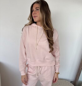 Z Supply Infield Hoodie