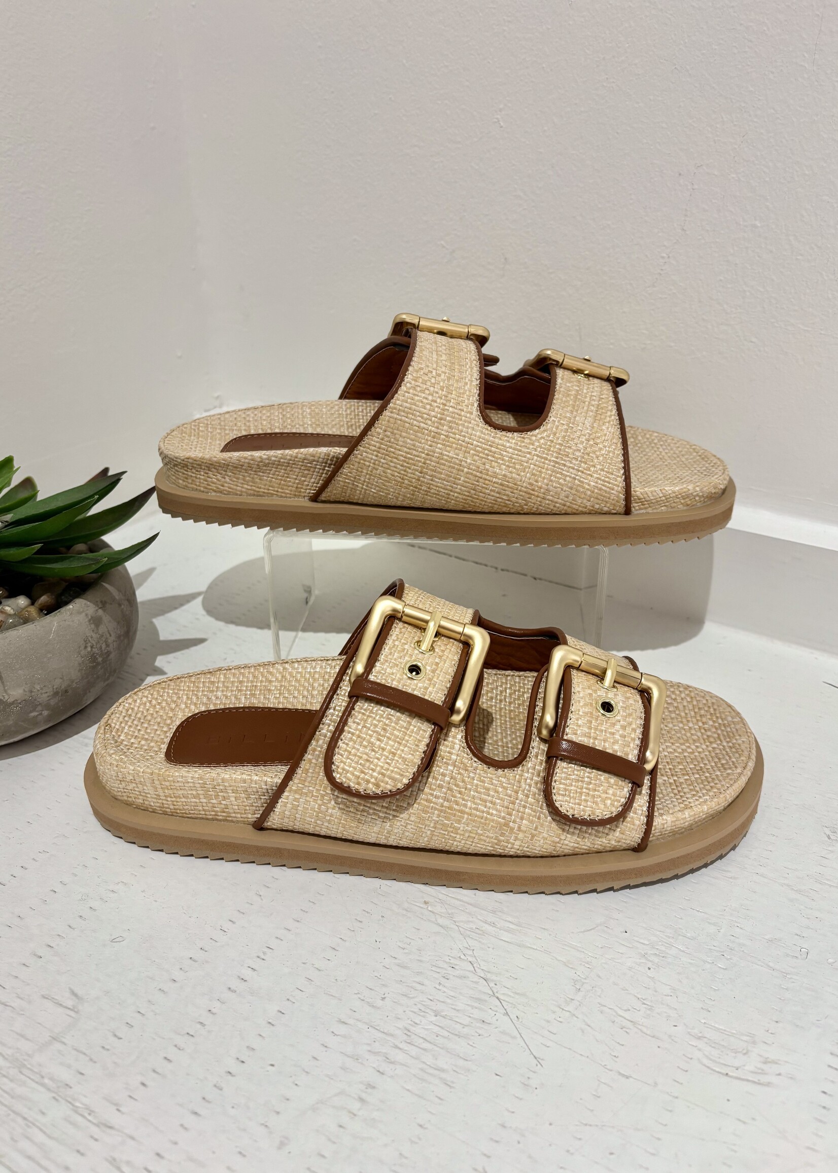 Tenzin Sandal