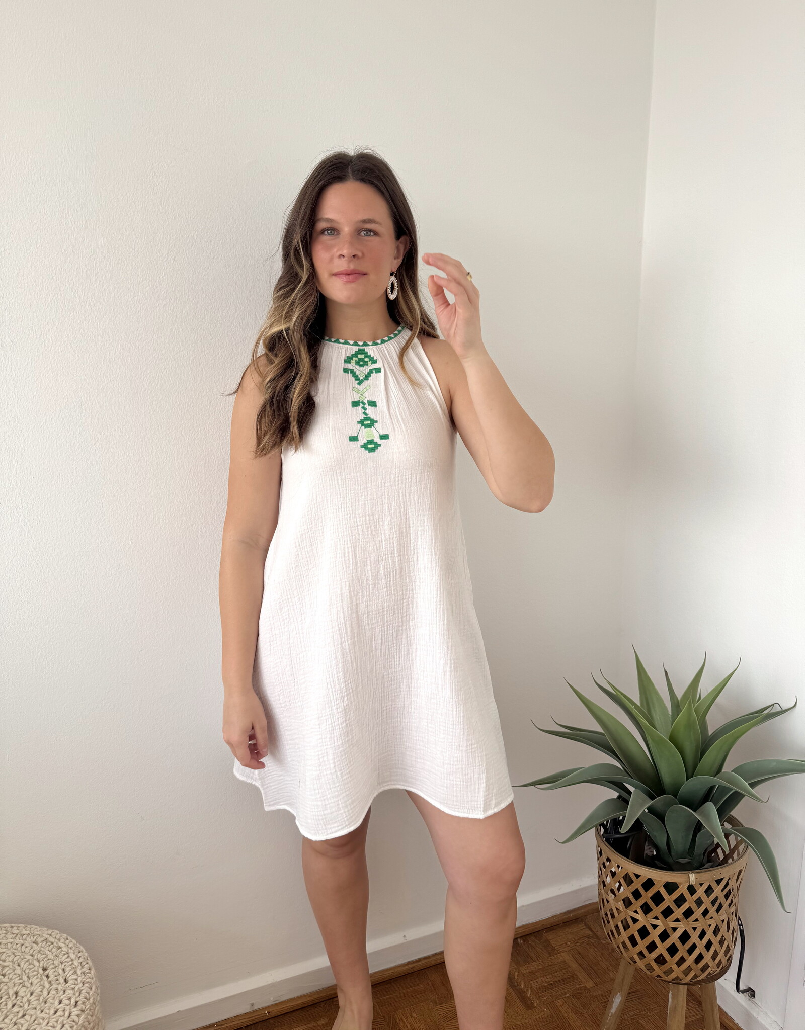 Suzie Embroidered Mini Dress