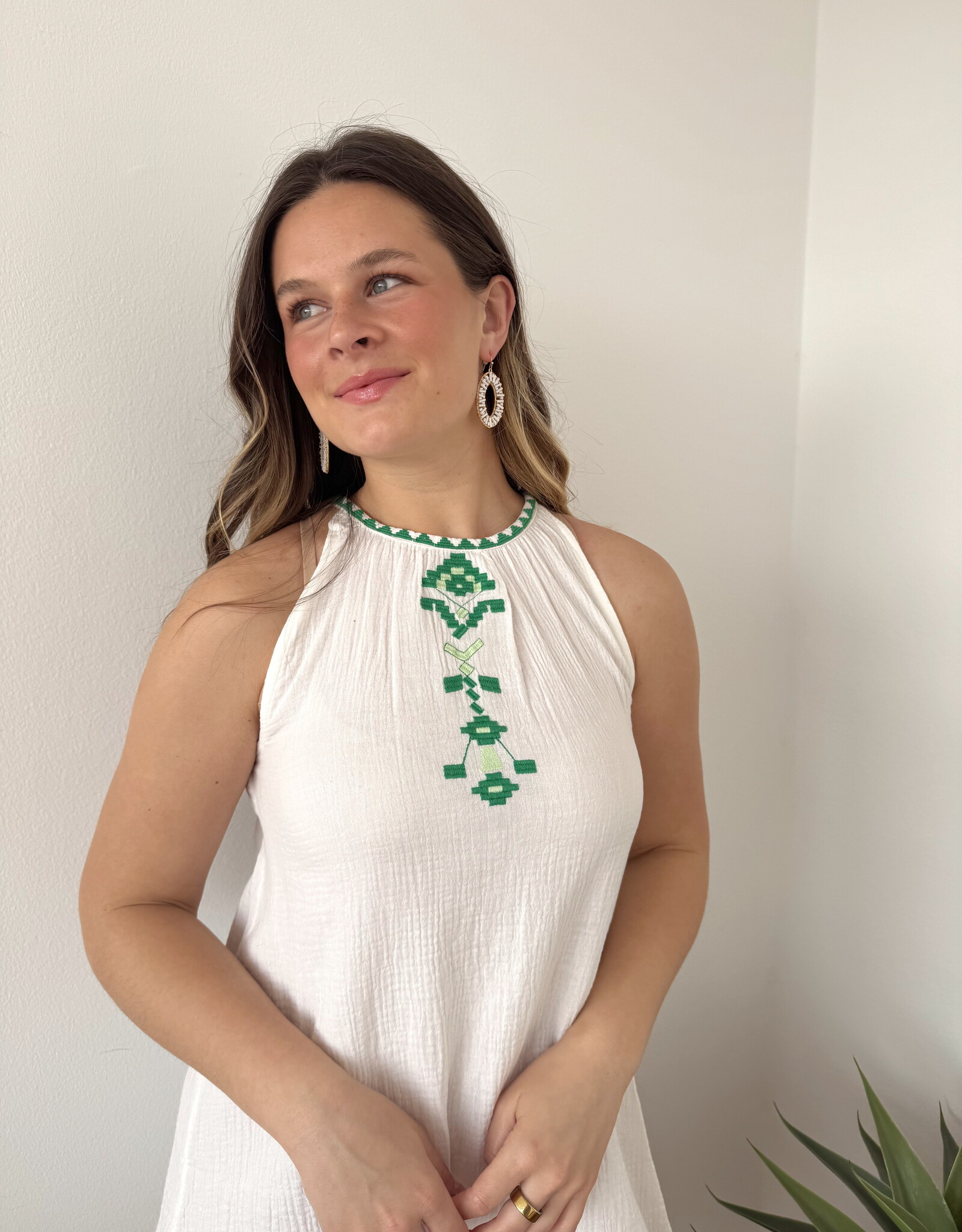Suzie Embroidered Mini Dress