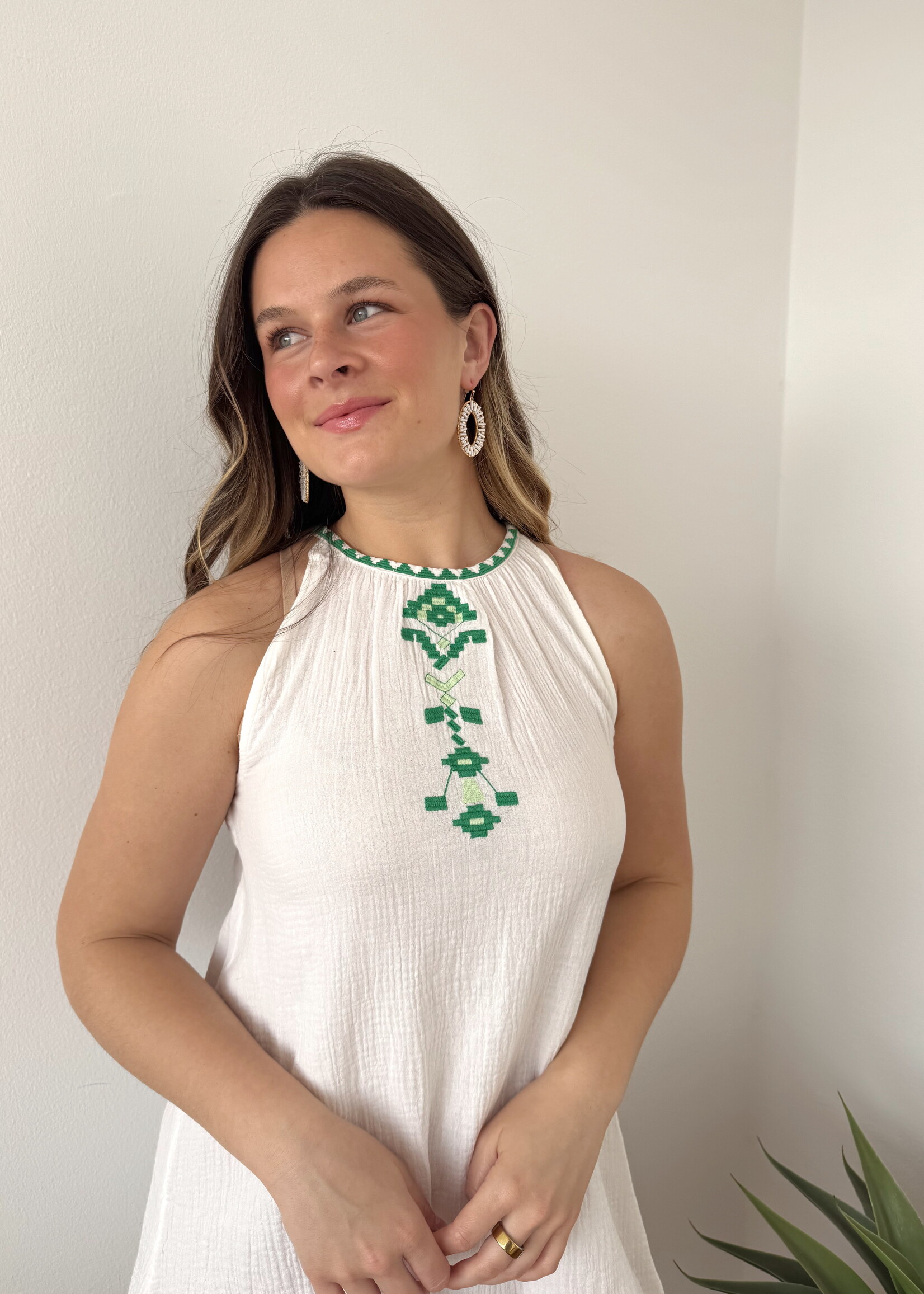 Suzie Embroidered Mini Dress