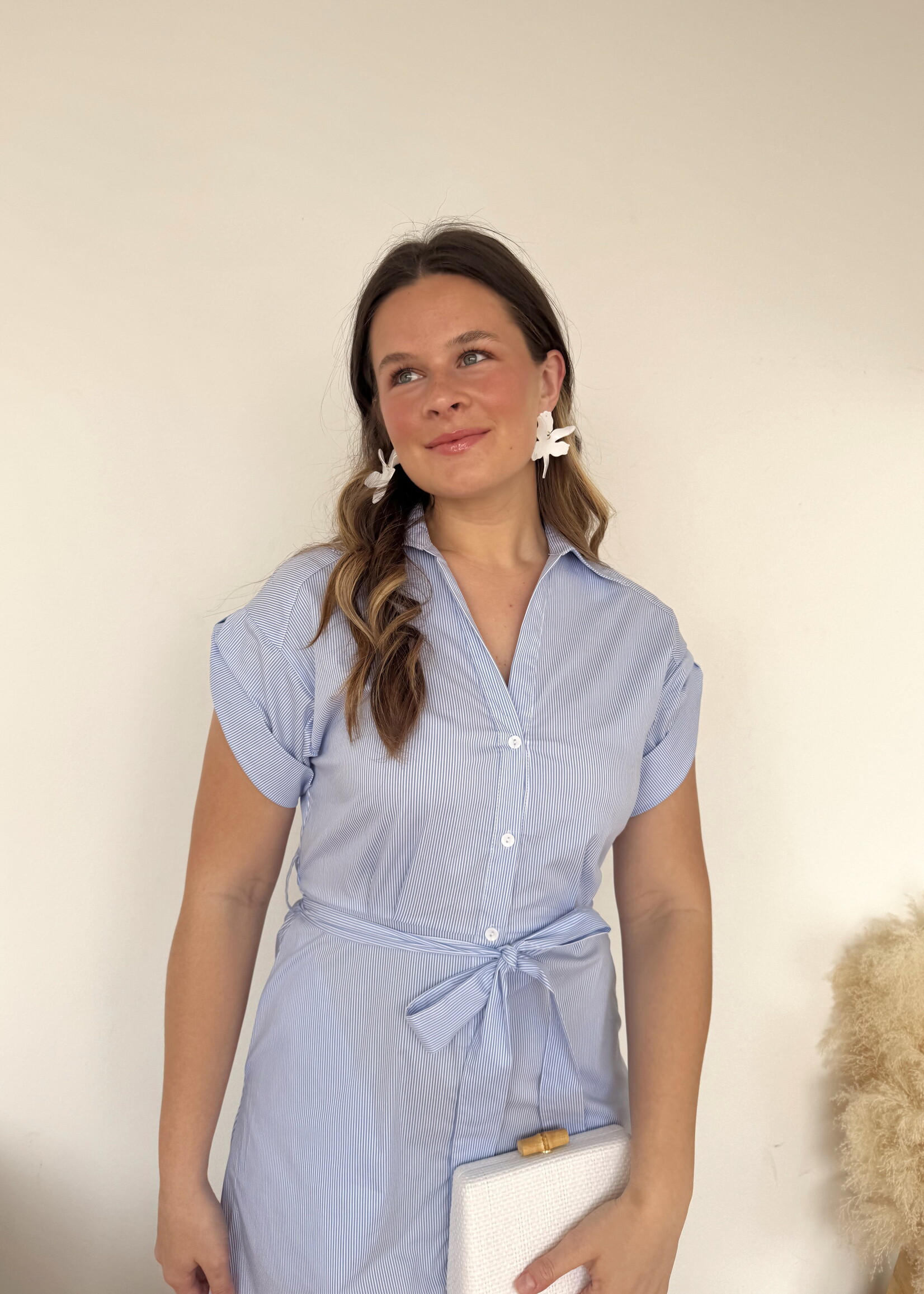 Ambrose Collared Midi Dress