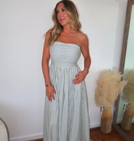 Darra Stripe Strapless Flare Maxi Dress