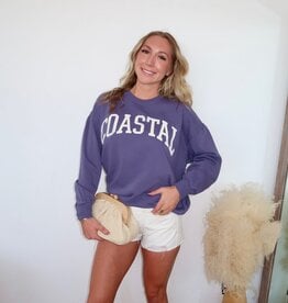 Z Supply Coast Sunday Sweatshirt
