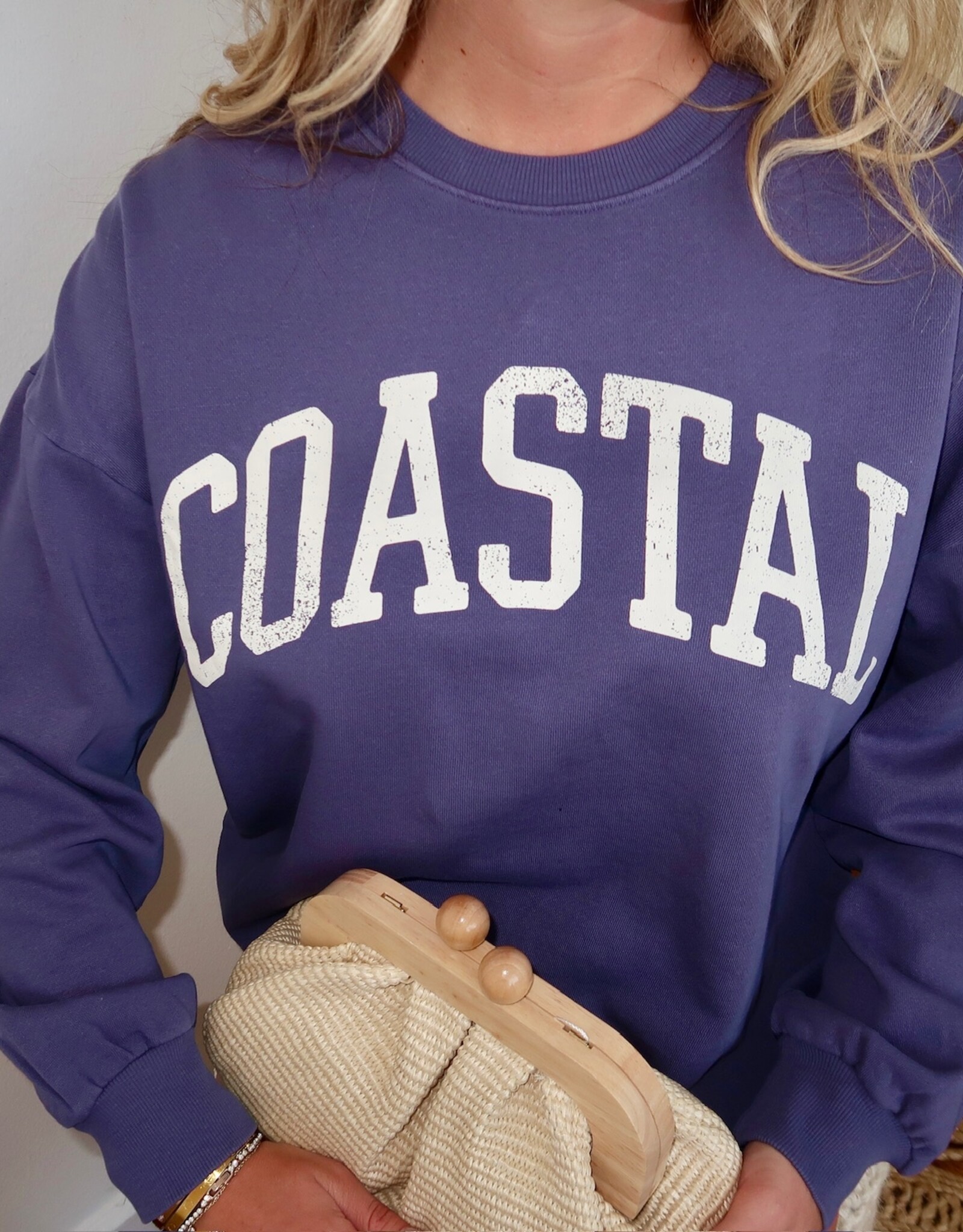 Z Supply Coast Sunday Sweatshirt