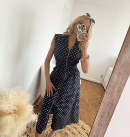 Brighid Zip Up Polka Dot Dress