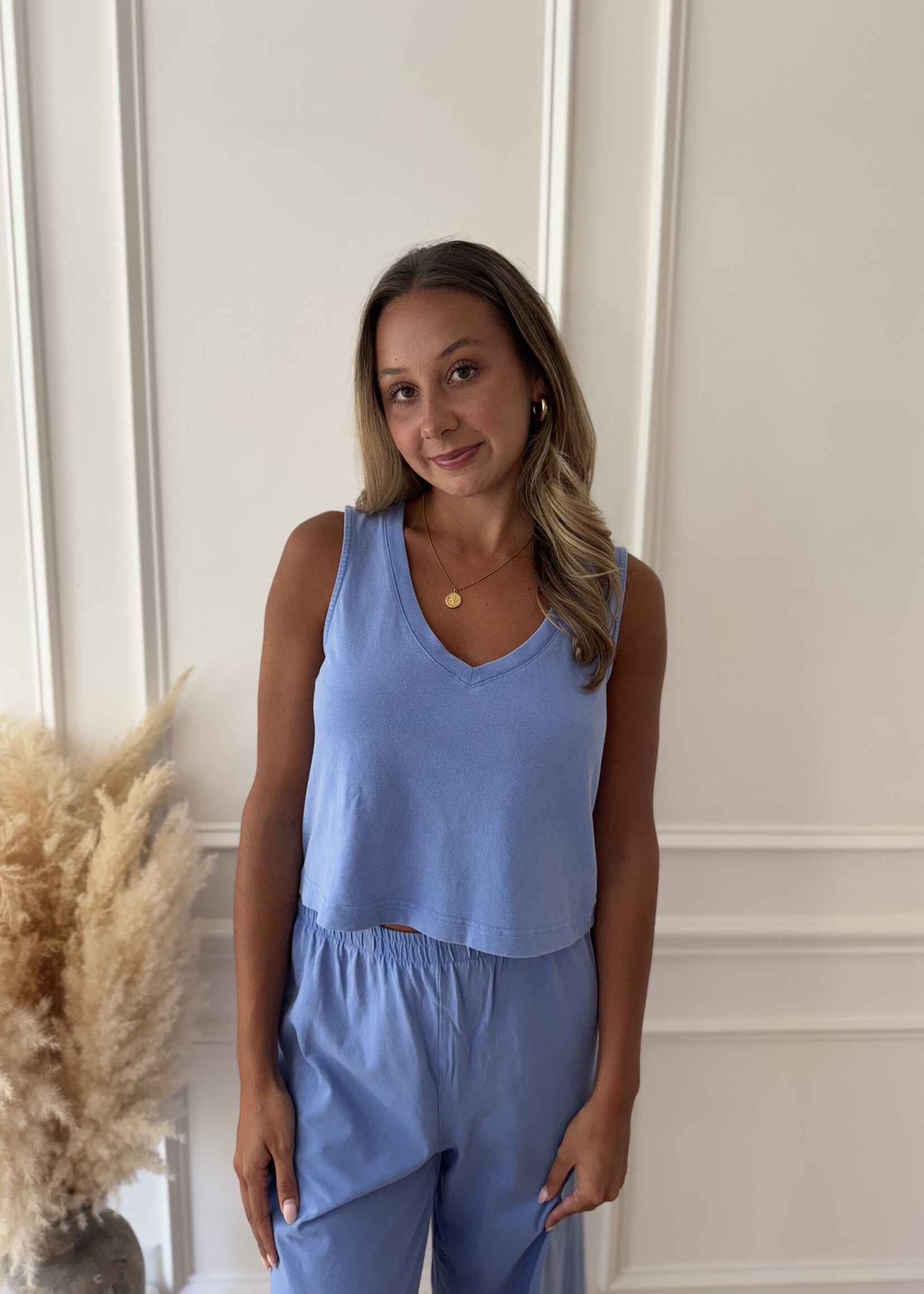 Z-Supply Sloane V Neck Top