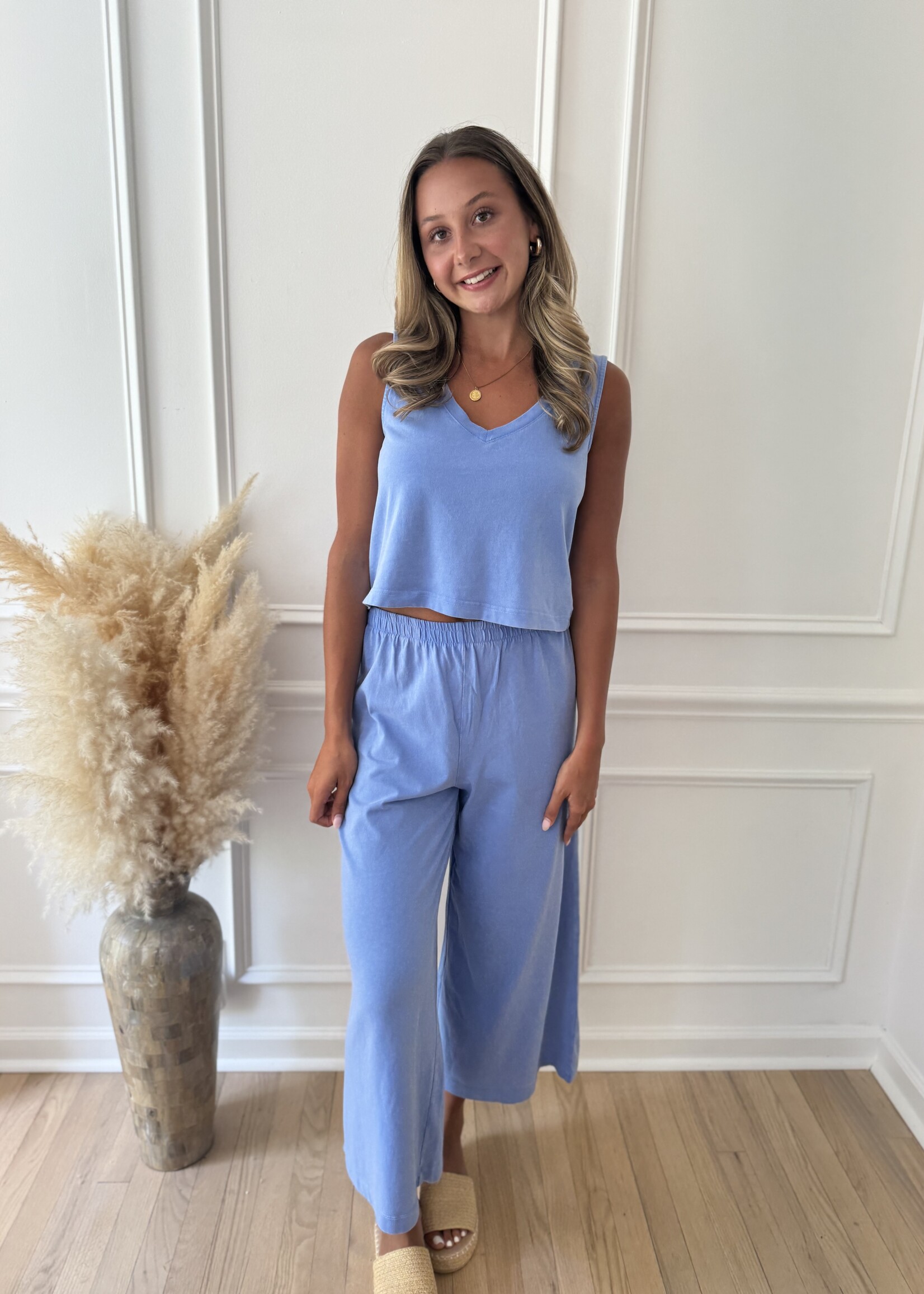 Z-Supply Sloane V Neck Top