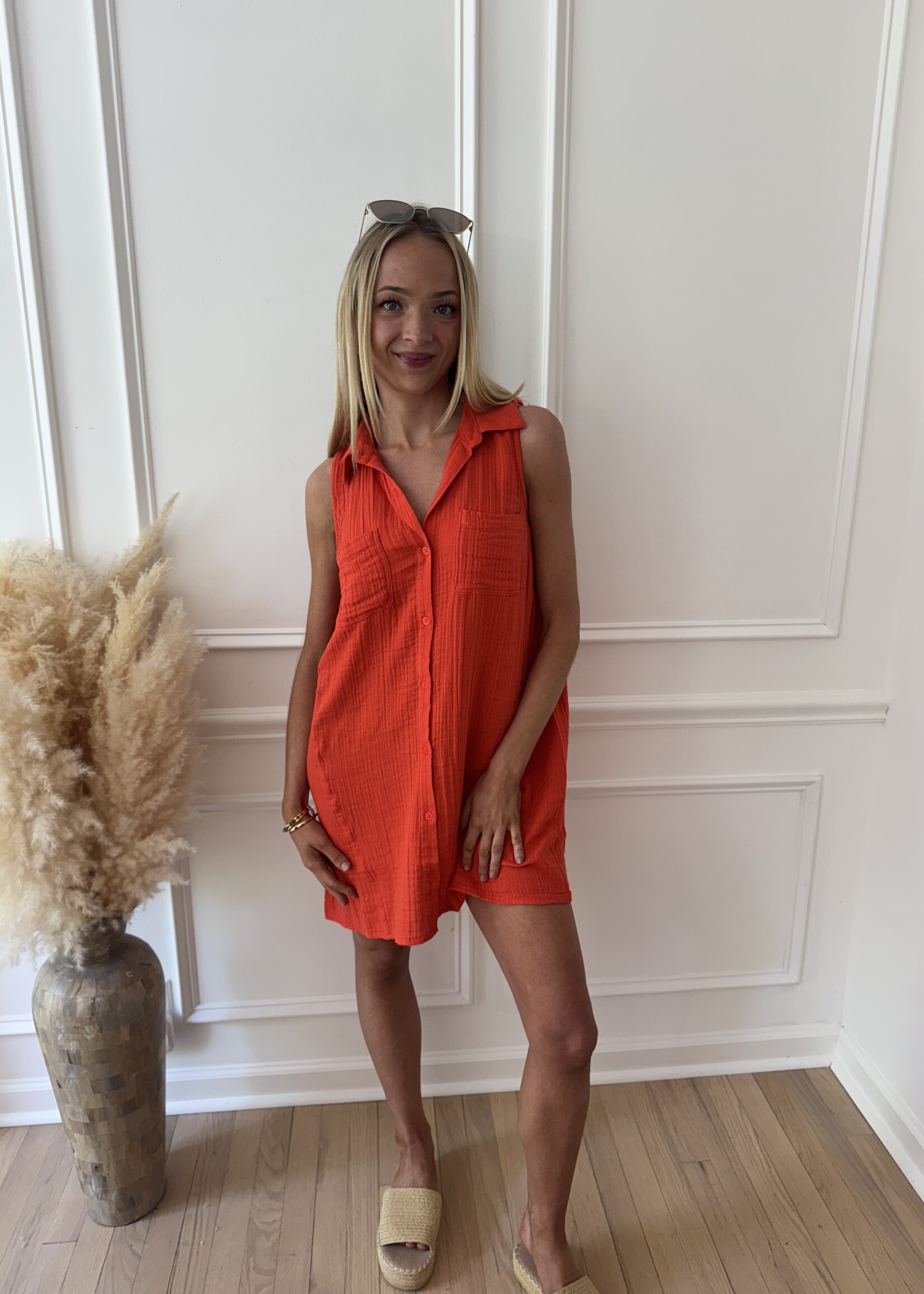 Z Supply New Light Mini Dress