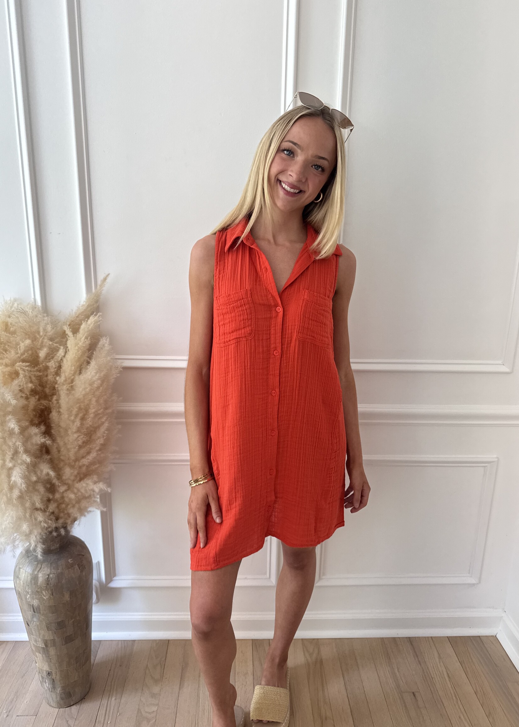 Z Supply New Light Mini Dress