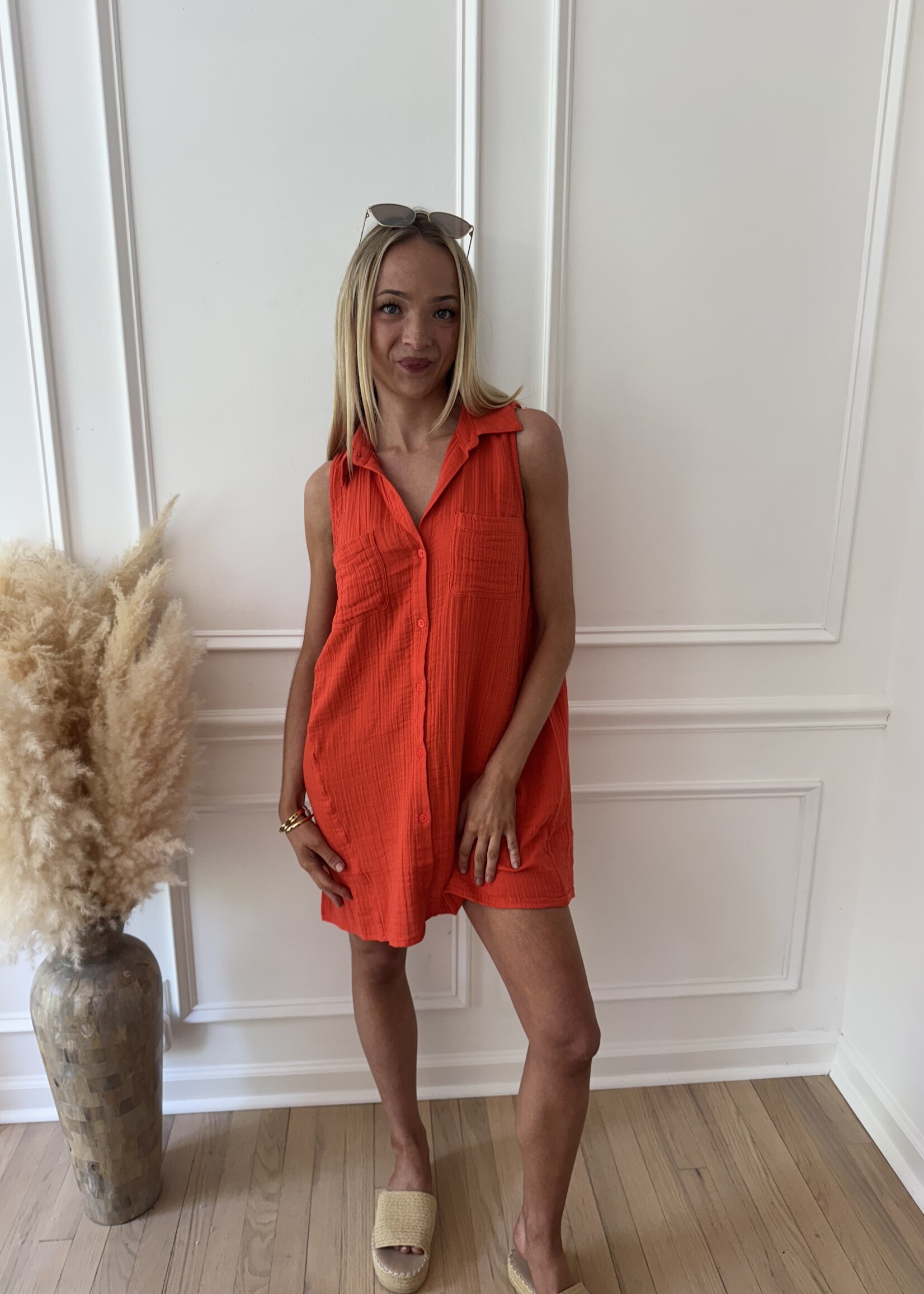 Z Supply New Light Mini Dress