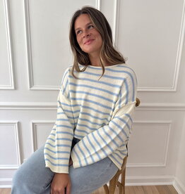 トップス LOEWE paula's turtle knit Blue Knitted sweater Loewe - loewe paula s ibiza patchwork