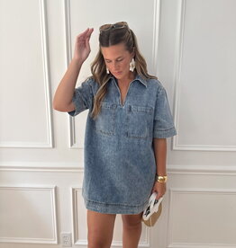 Jaci V-Neck Denim Tunic Dress