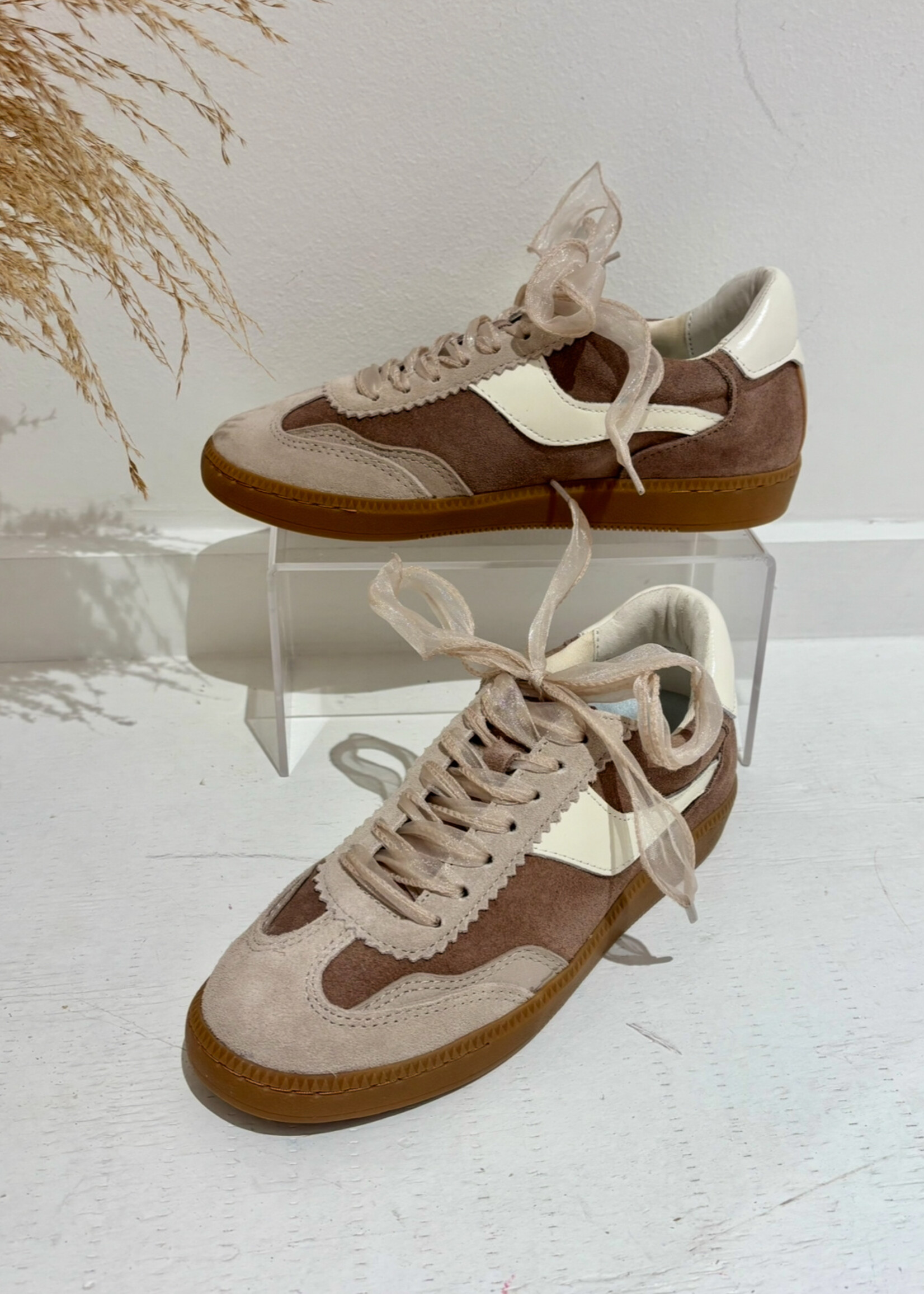 Notice Sneakers DK Taupe