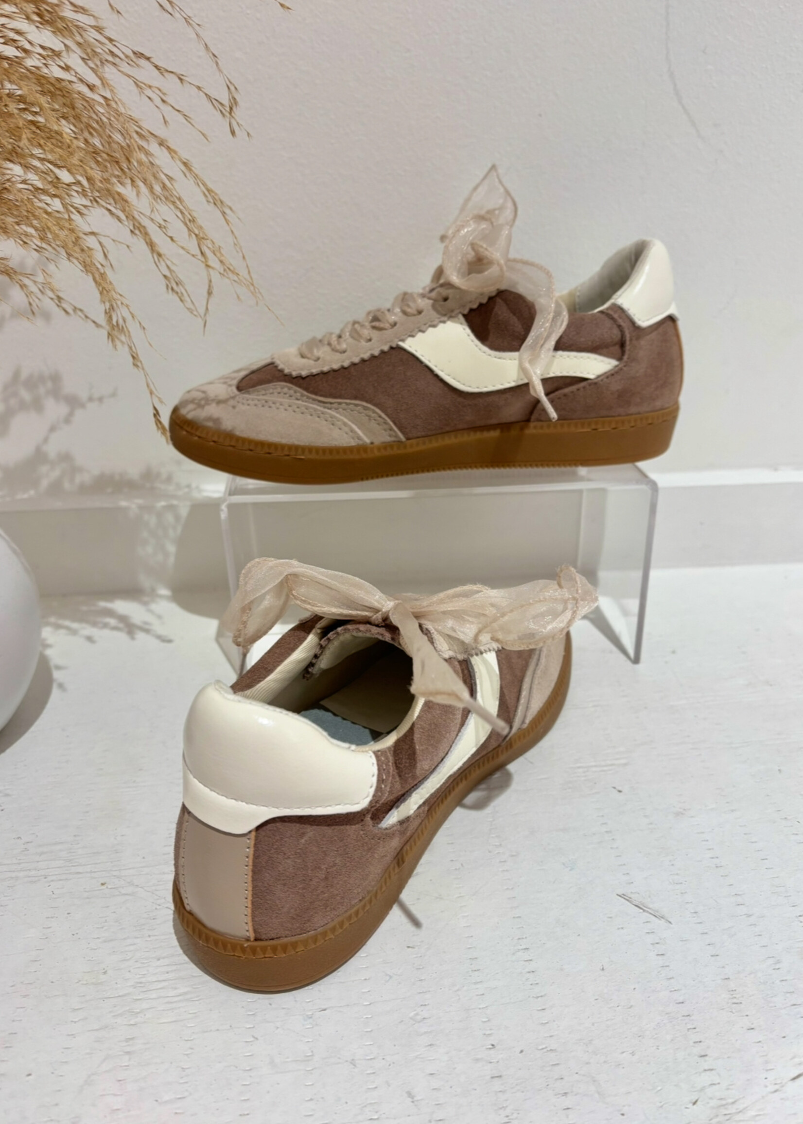 Notice Sneakers DK Taupe