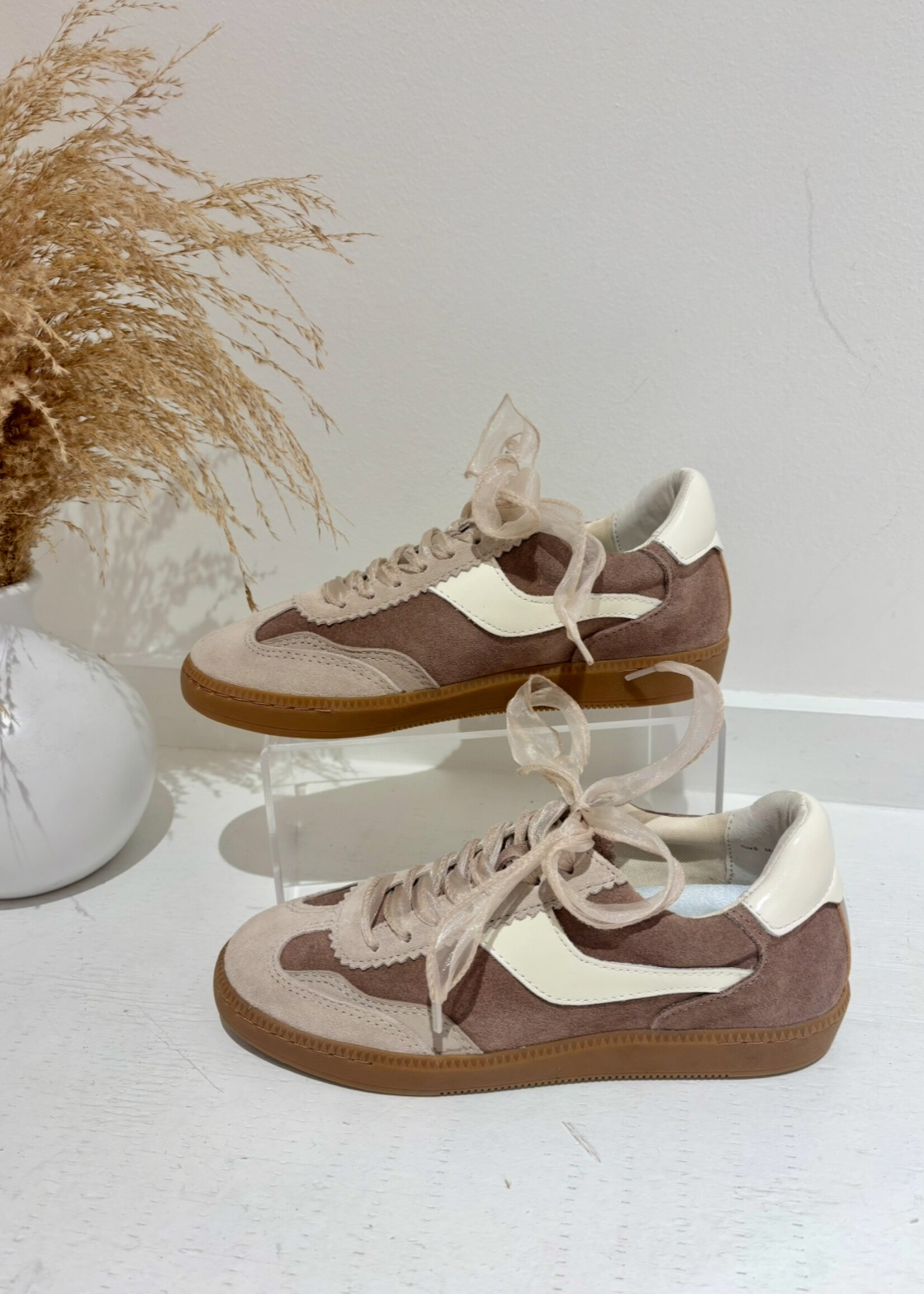 Notice Sneakers DK Taupe