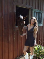 Elise Mesh V-Neck Mini Dress