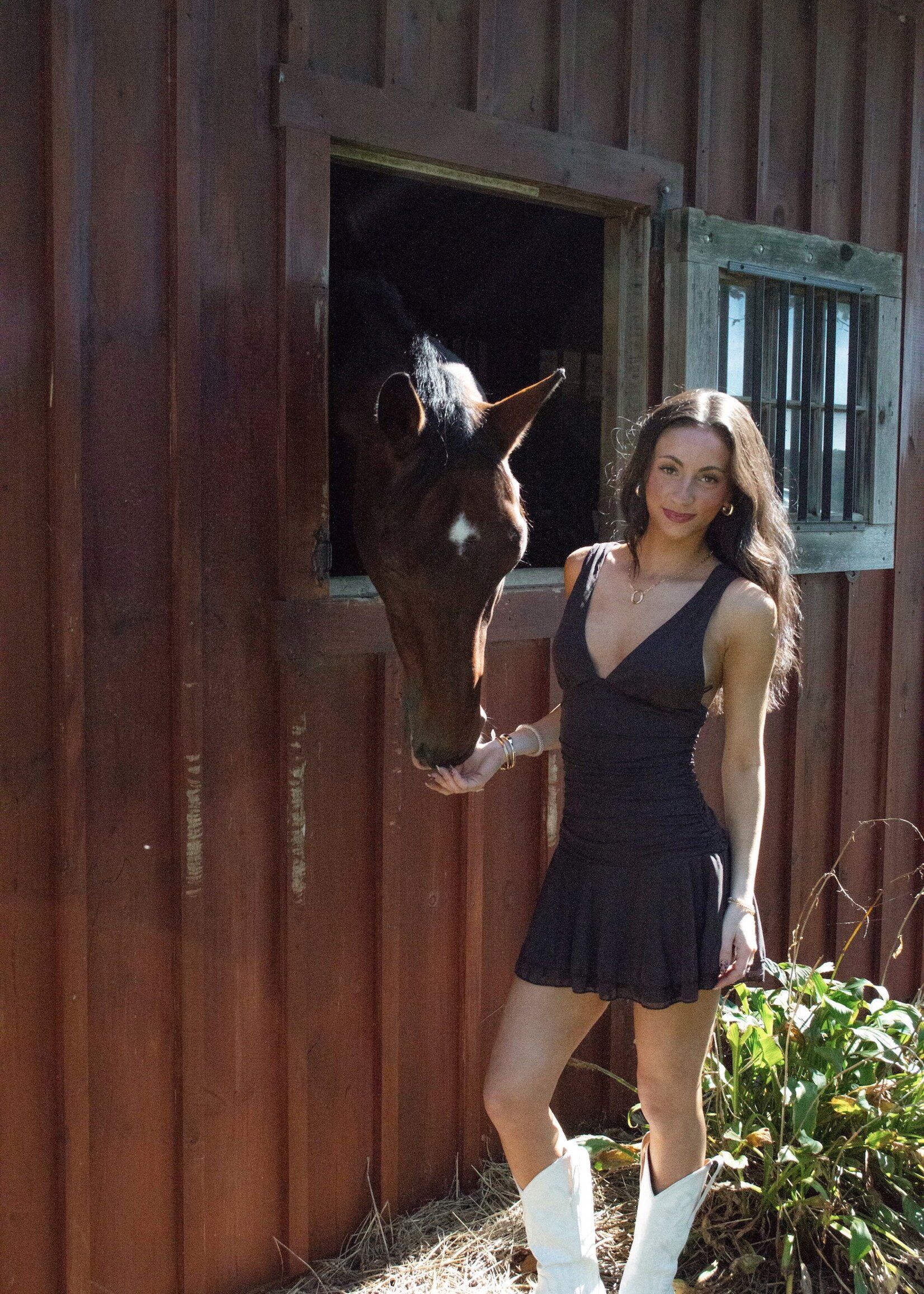 Elise Mesh V-Neck Mini Dress