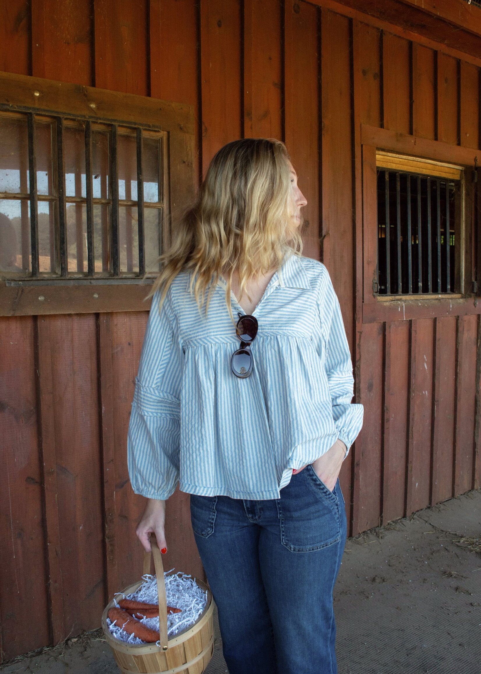 Crystal Stripe Bubble Blouse