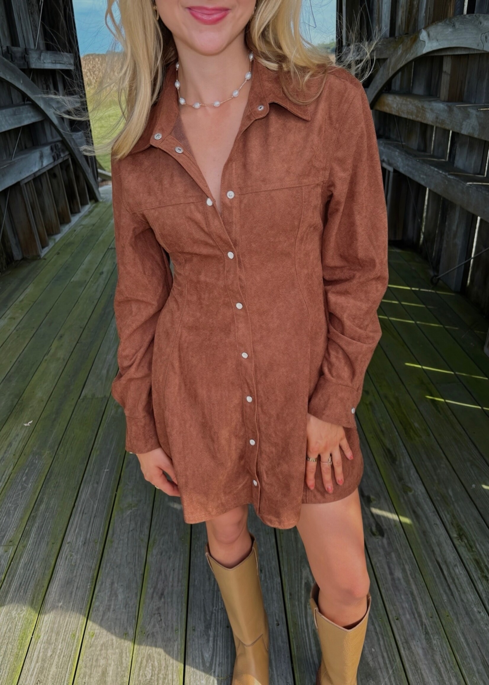Hara Suede Mini Dress