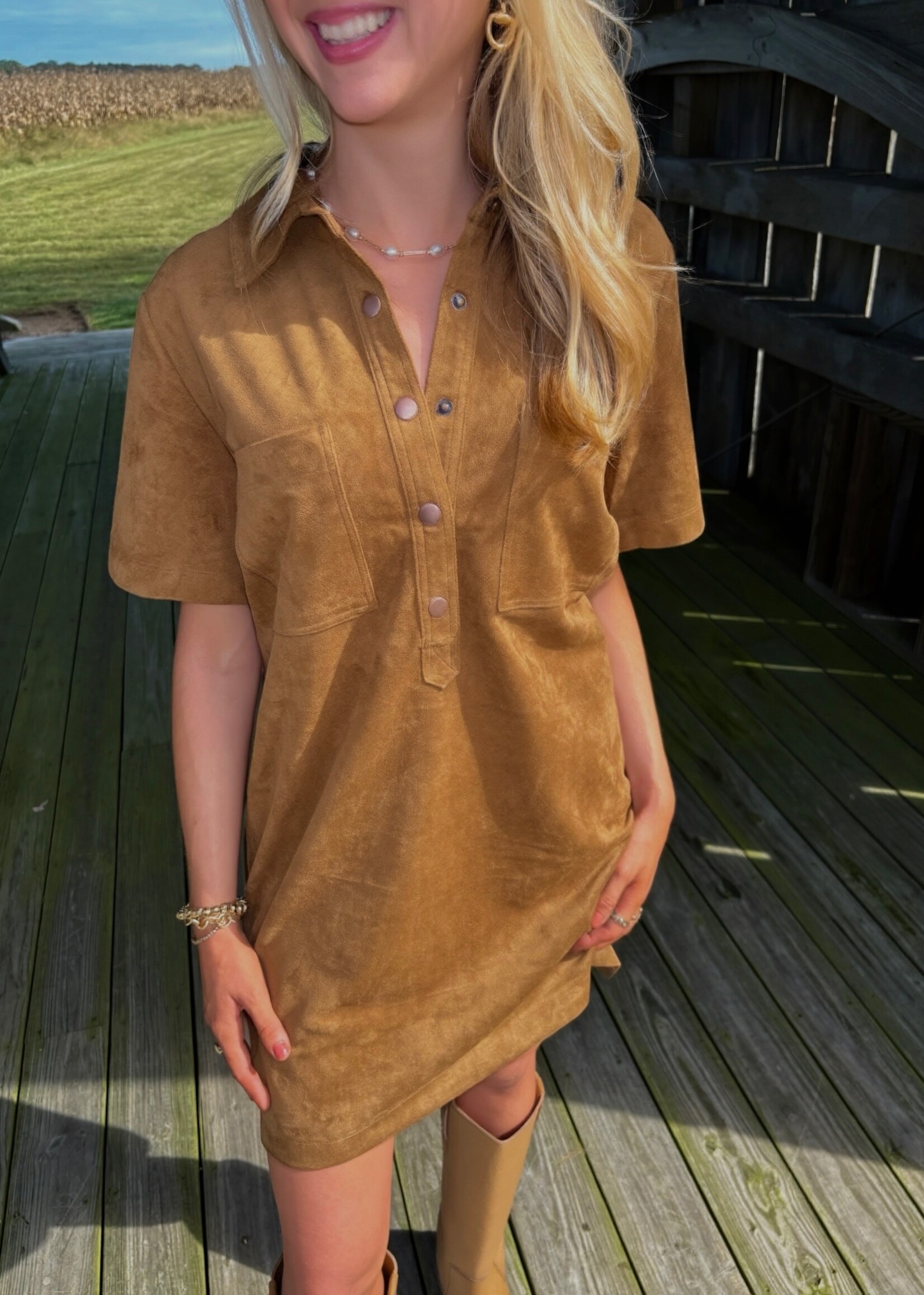 Z Supply Sydney Suede Mini Dress