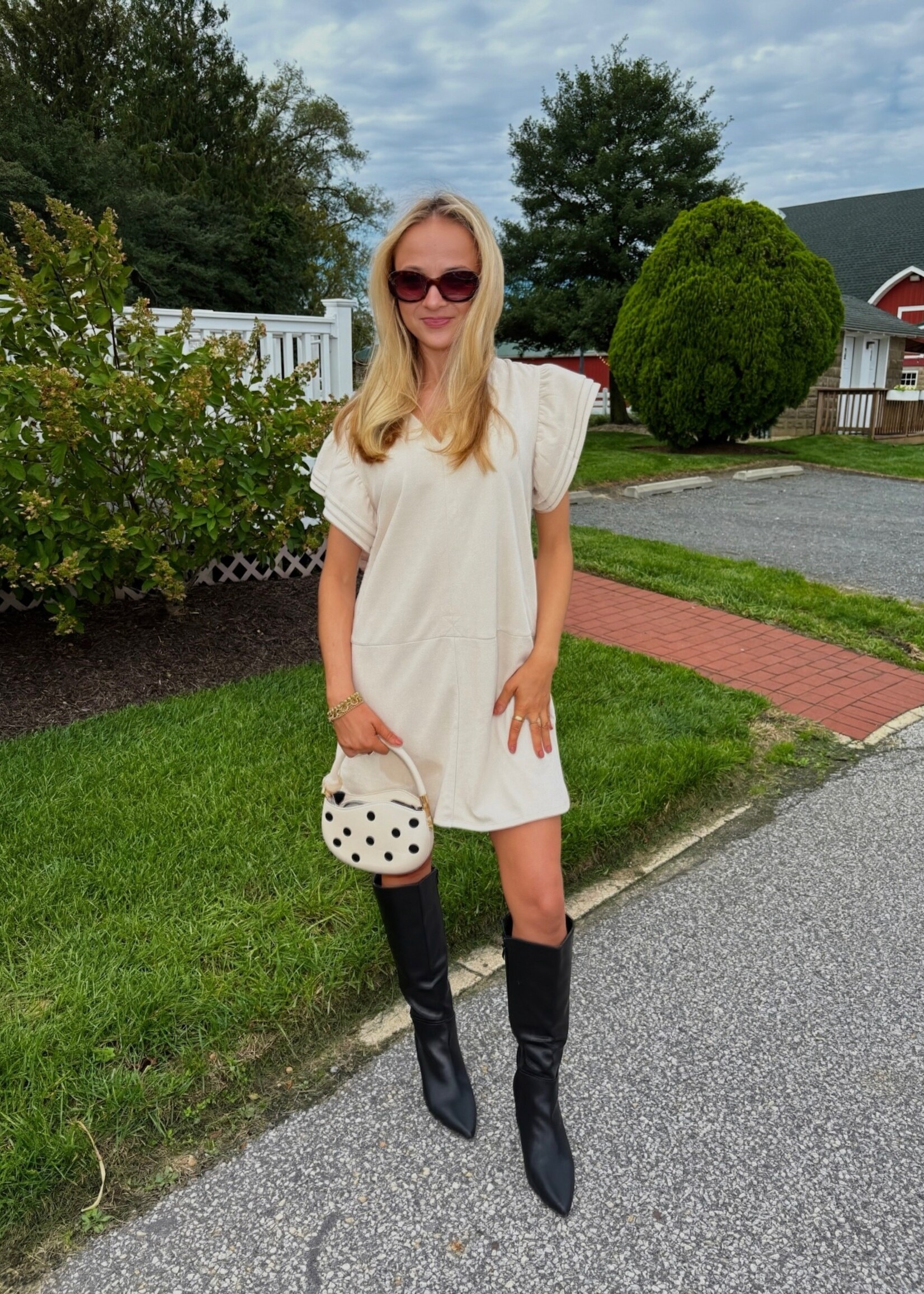 Della Suede Flutter Sleeve Mini Dress