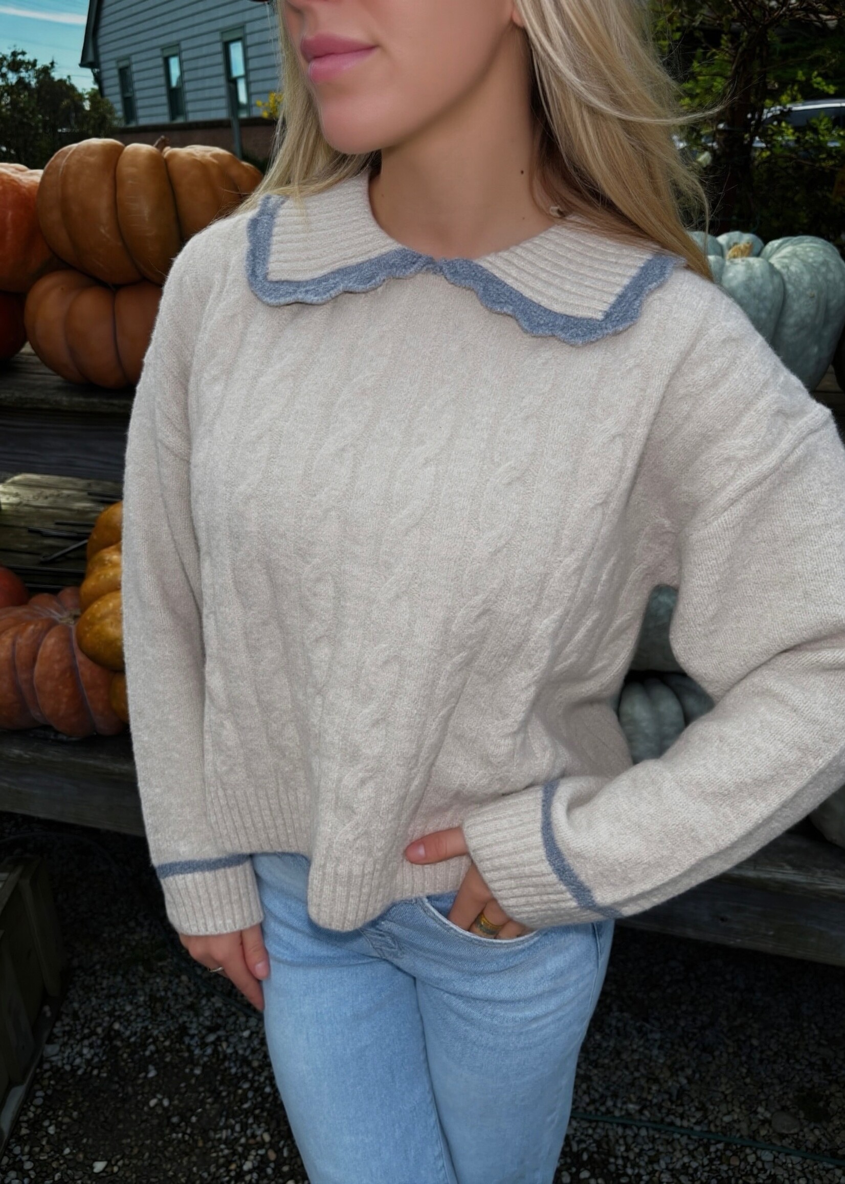 Queenie Contrast Collared Sweater