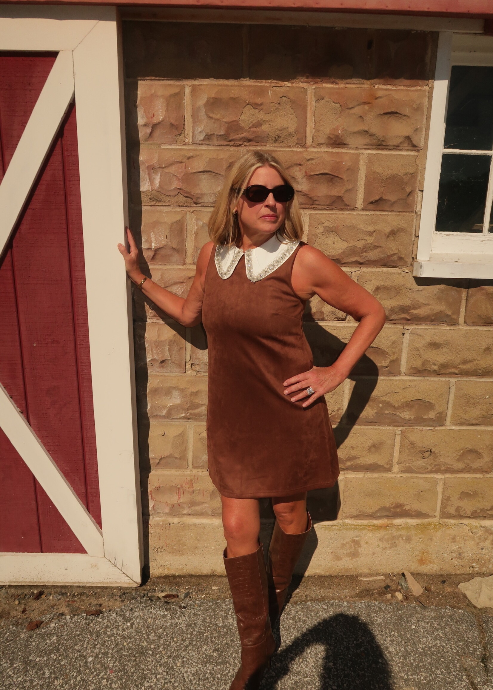 Annika Sleeveless Contrast Collar Mini Dress