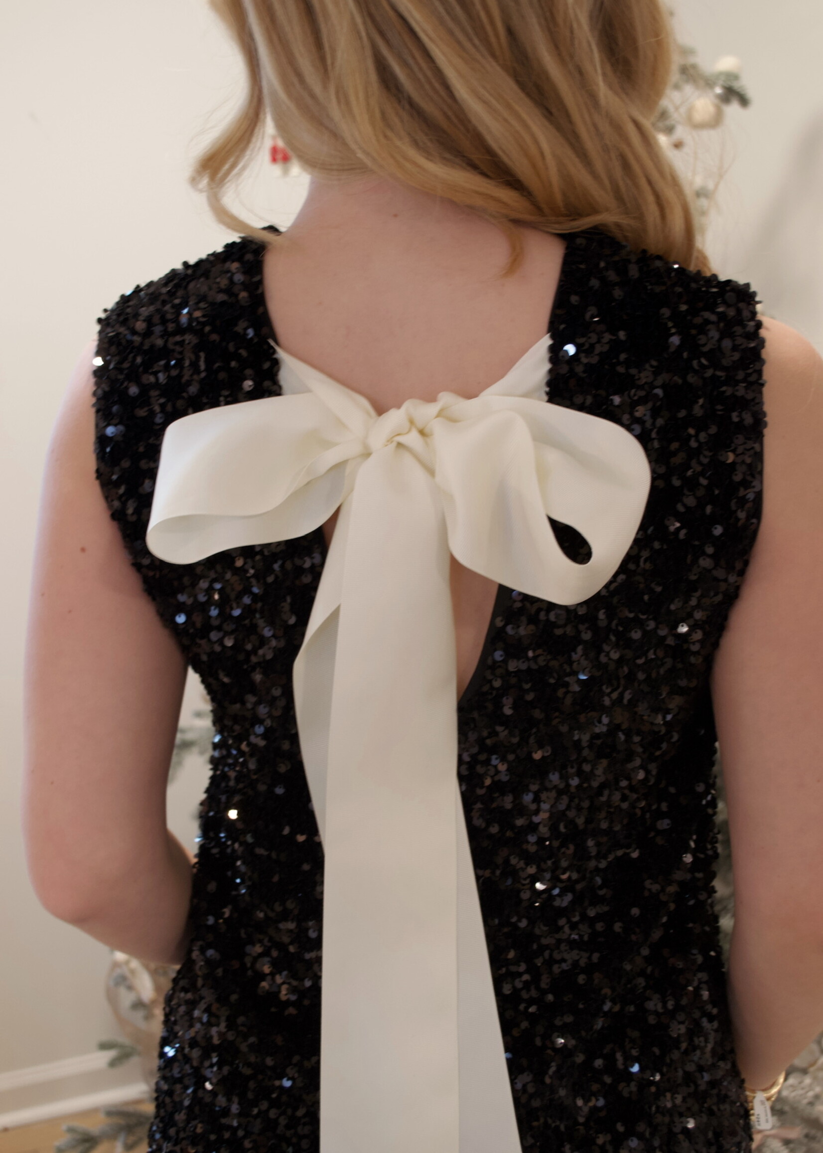 Aviary Sequin Velvet Mini Dress