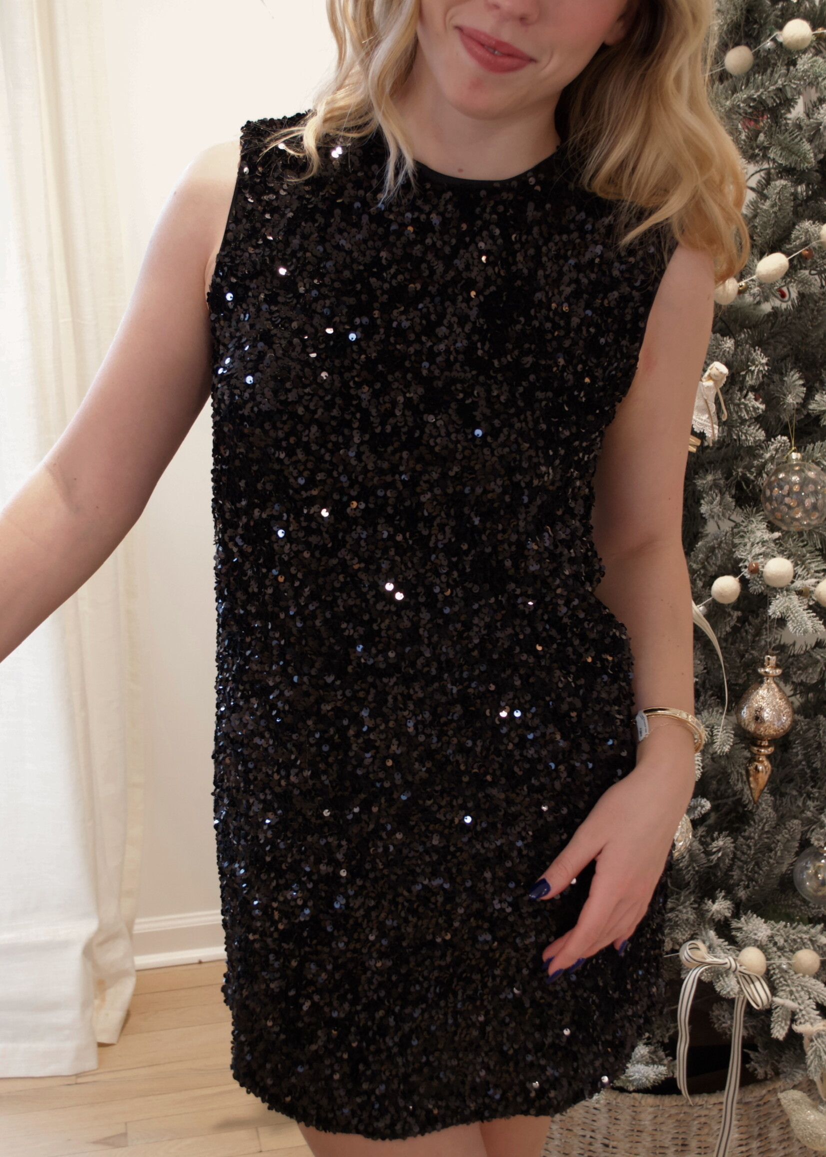 Aviary Sequin Velvet Mini Dress